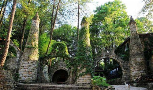 贵州男子隐居深山修炼,贵州男子隐藏深山修行23年