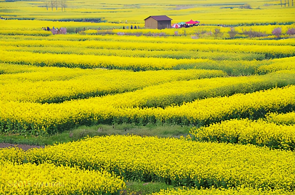 泰州有什么好玩的旅游景点推荐,泰州市有什么旅游景点吗