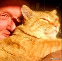 卡车司机收养流浪猫三只,卡车司机收养流浪猫抖音