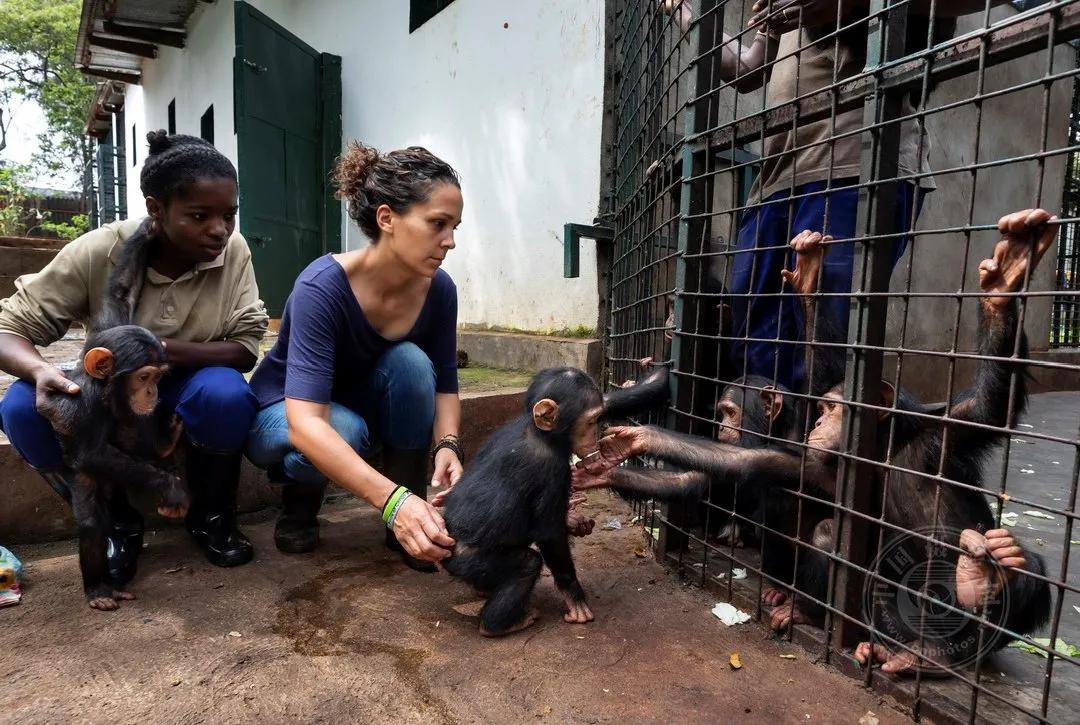 2022索尼世界摄影大赛自然类 (索尼世界摄影大赛自然组作品精选)