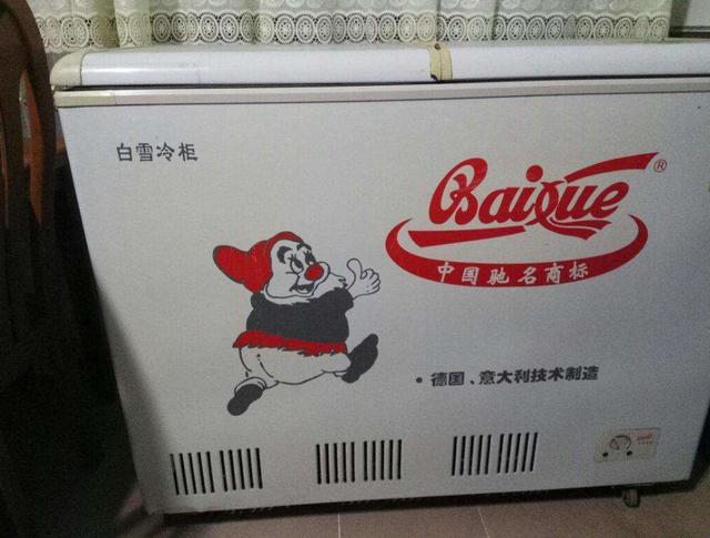 冷柜品牌前十名,冷柜品牌十大排名百度