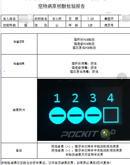 猫咪眼头发红肿大怎么回事,猫咪眼睛红肿睁开眼怎么治疗