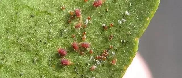 搴撳瓨鐭跨墿娌瑰鑽晥鏈夊奖鍝嶅悧,鐭跨墿娌硅嵂鏁堟彁鍗囩櫨鍒嗕箣澶氬皯