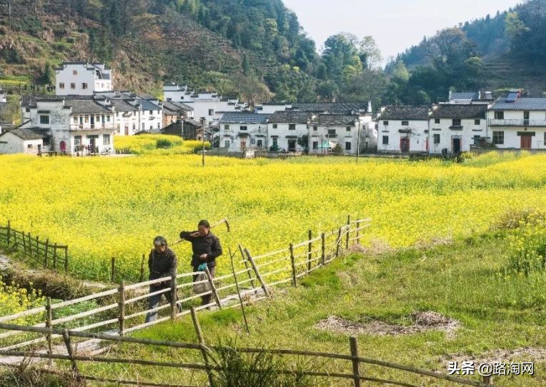 五一小长假结束再看一波各地美景,五一小长假去哪登山踏青看花好
