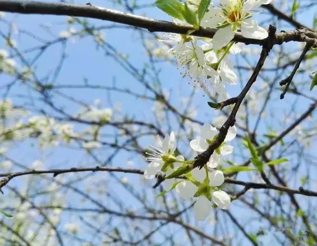 在上海拥有这样一个露台多幸福,在上海有一种温暖叫邻里互助