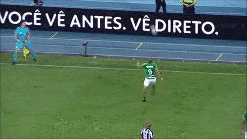 这只鹦鹉一直以为他是一只猴，所以每天都在重复做这个动作