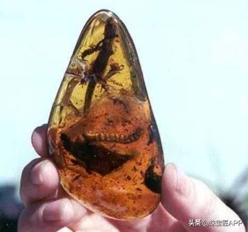 宝石的裂纹叫什么,宝石有裂痕是不是就失去价值了