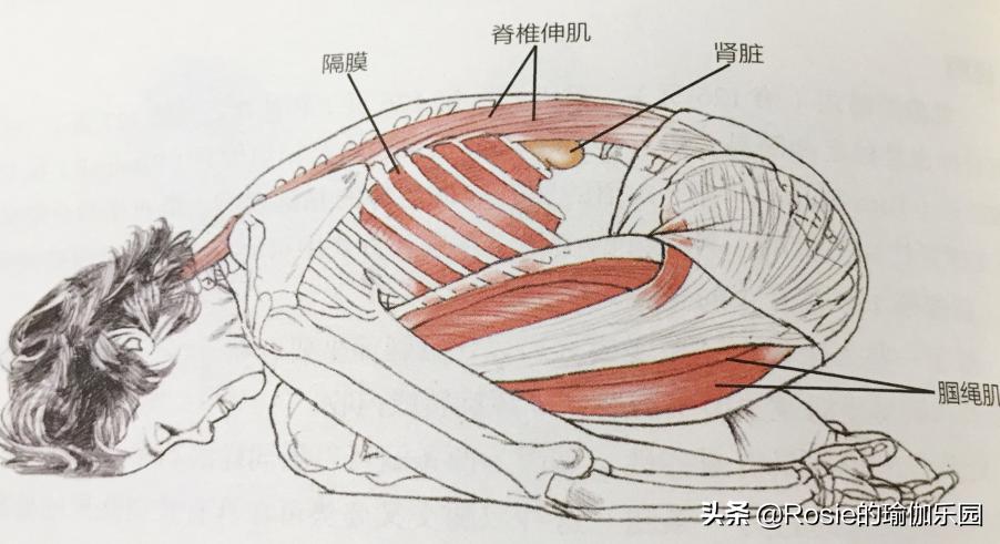 产后平躺腰疼是怎么回事,产后腰痛膝盖痛怎么锻炼
