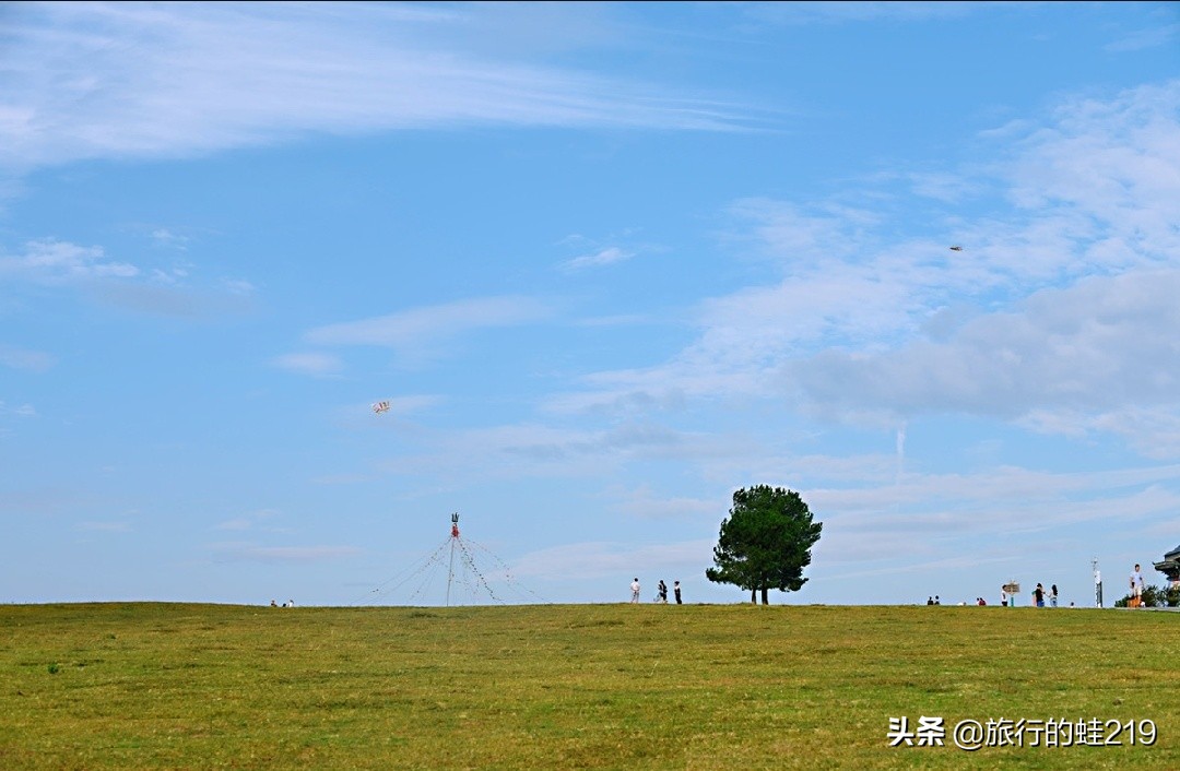 武汉环境好的区域,武汉环境最好是哪个区
