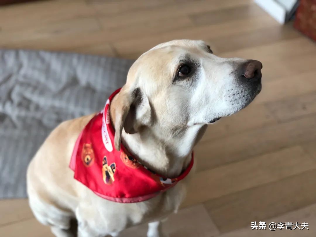 麦扣的家庭,麦扣的质感好物