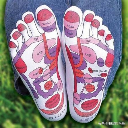 五种式样的袜子各7双,袜子大全500种