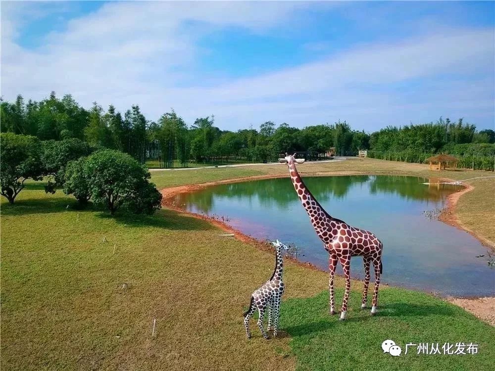 这个暑假去哪个地方玩不热,这个季节去从化有什么好玩的