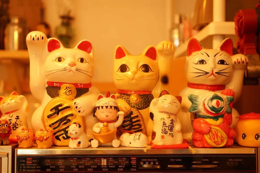 人民公园小南街,人民公园长发魔女