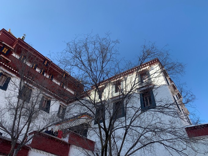 冬天去拉萨的感受,在拉萨几点晒太阳最舒服