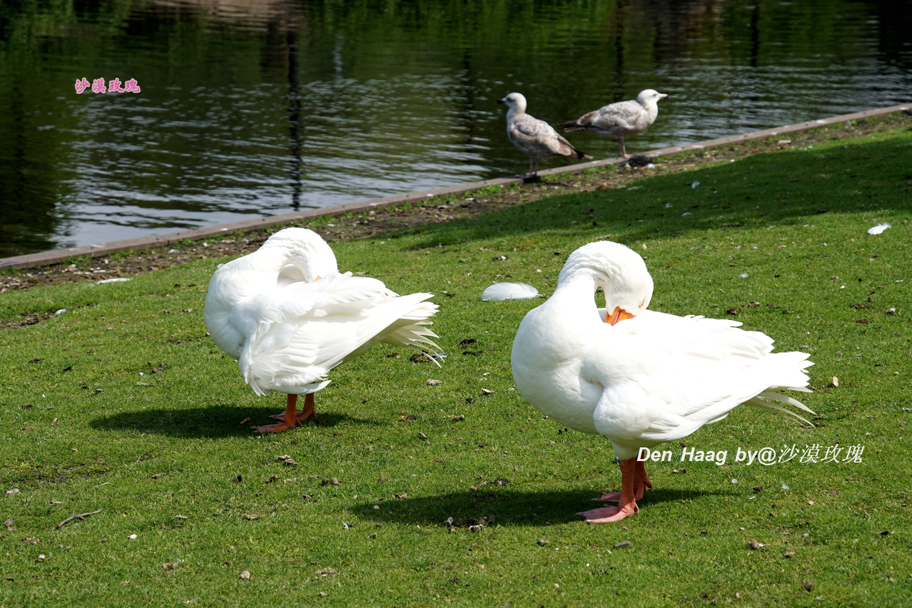aa制的另一种说法,AA制的意思
