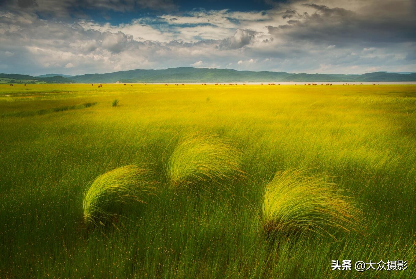 摄影如何提高锐度,佳能单反怎么提高锐度