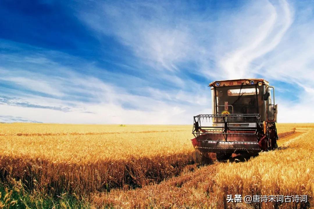 风吹麦浪李健,风吹麦浪孙俪李健