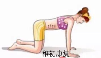 中医催乳师产后修复,催乳产后修复网上课程