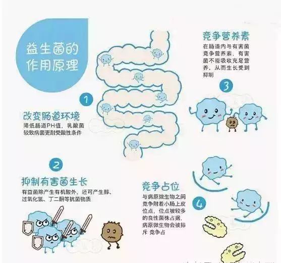 益生菌对过敏体质宝宝有作用吗,益生菌改善过敏体质吗