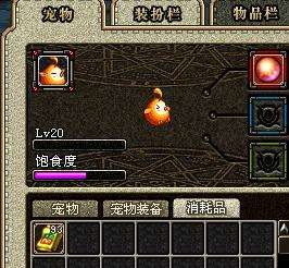 dnf最有趣的宠物,dnf十大绝版宠物排行