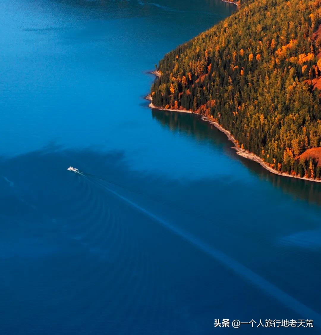 如果你不了解现实你就去看历史,如果你不了解历史就无法展望未来