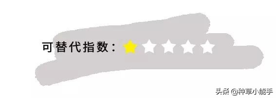 平价lamer,100块lamer套装