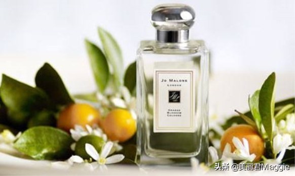 maggie的美丽日记 (maggie的美丽物语真实感受)