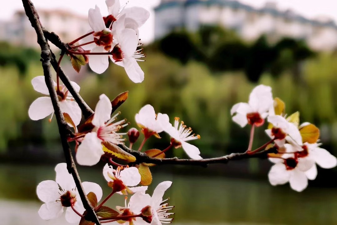 “语”我同行|好诗共品