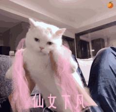 7月天津飞三亚往返机票团购,9月天津出发特价机票往返