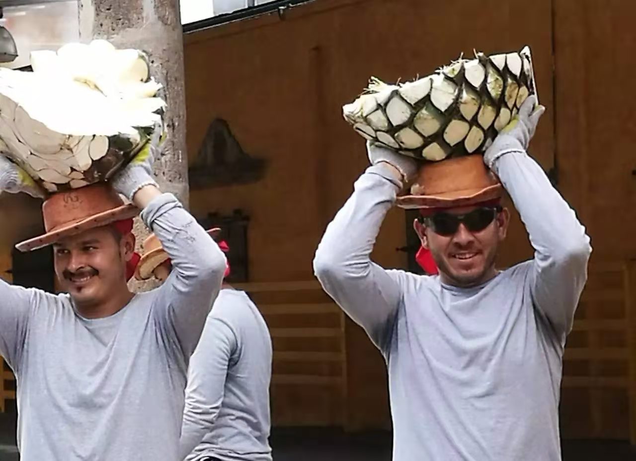 治疗麻风病最常见的药物,麻风用药