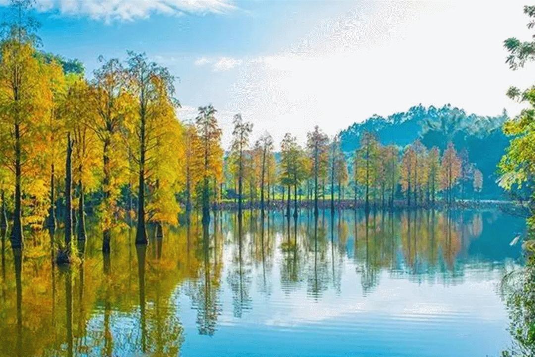 惠州天然温泉酒店带独立温泉池,惠州海滨温泉旅游度假酒店