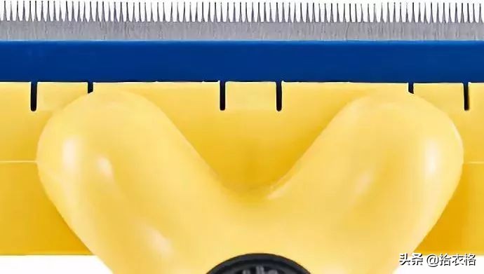 为抢玩具狗子跳起电臀舞！这么搞笑的屁屁可以看一年