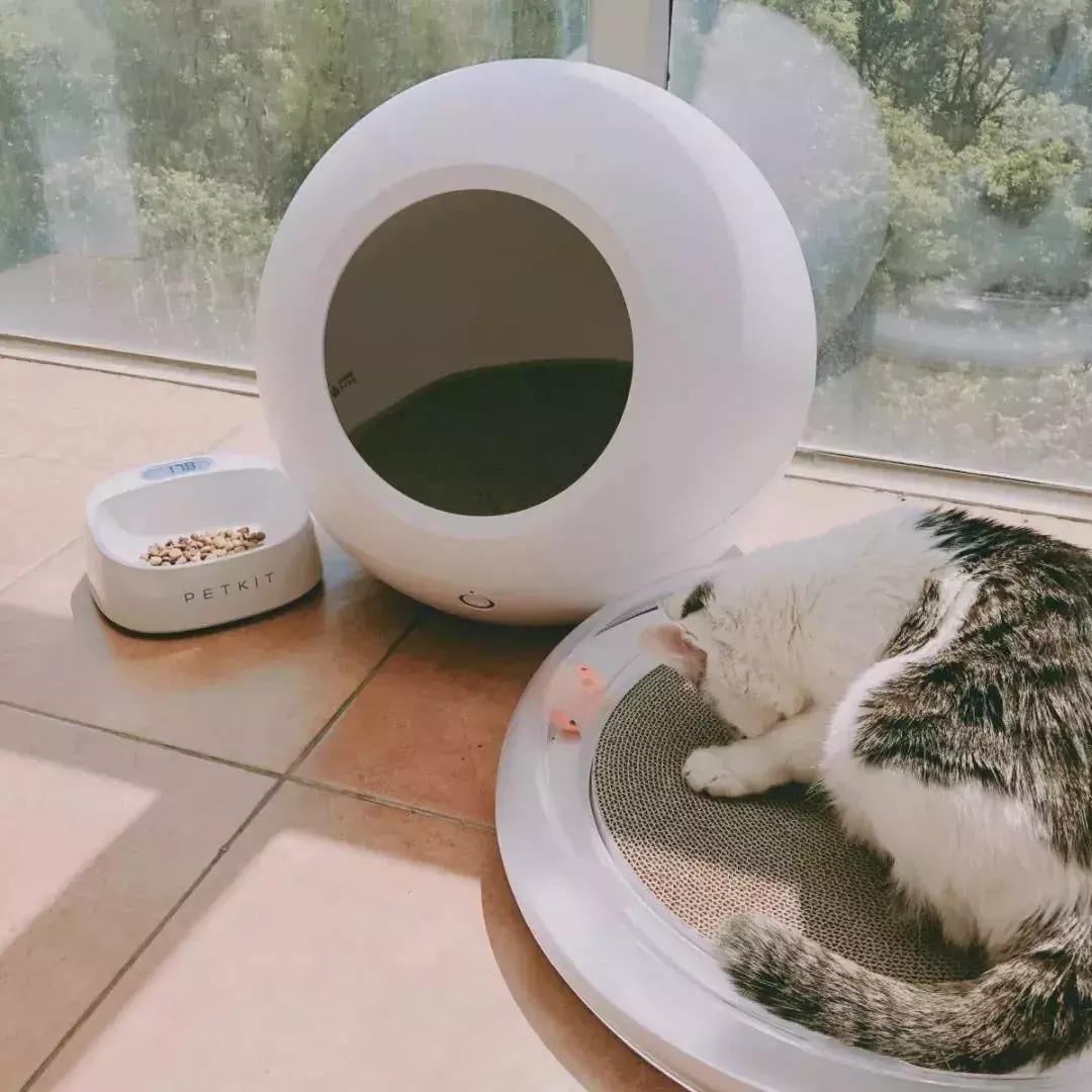 2019值得入手的好物,2019值得买的好物