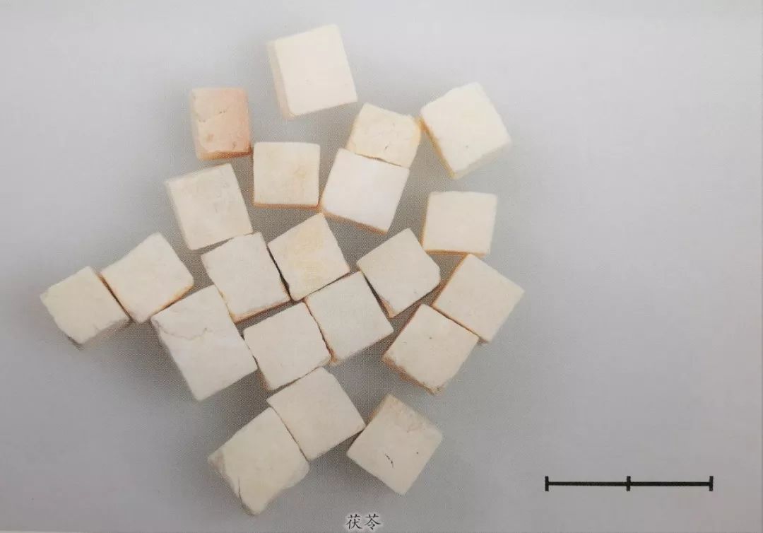 各种真菌抗癌对比,预防肿瘤的十种真菌