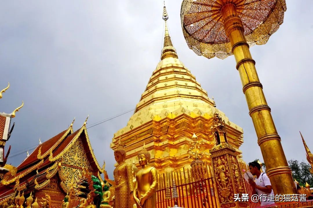 清迈吃喝住行自驾攻略,2019清迈吃住攻略