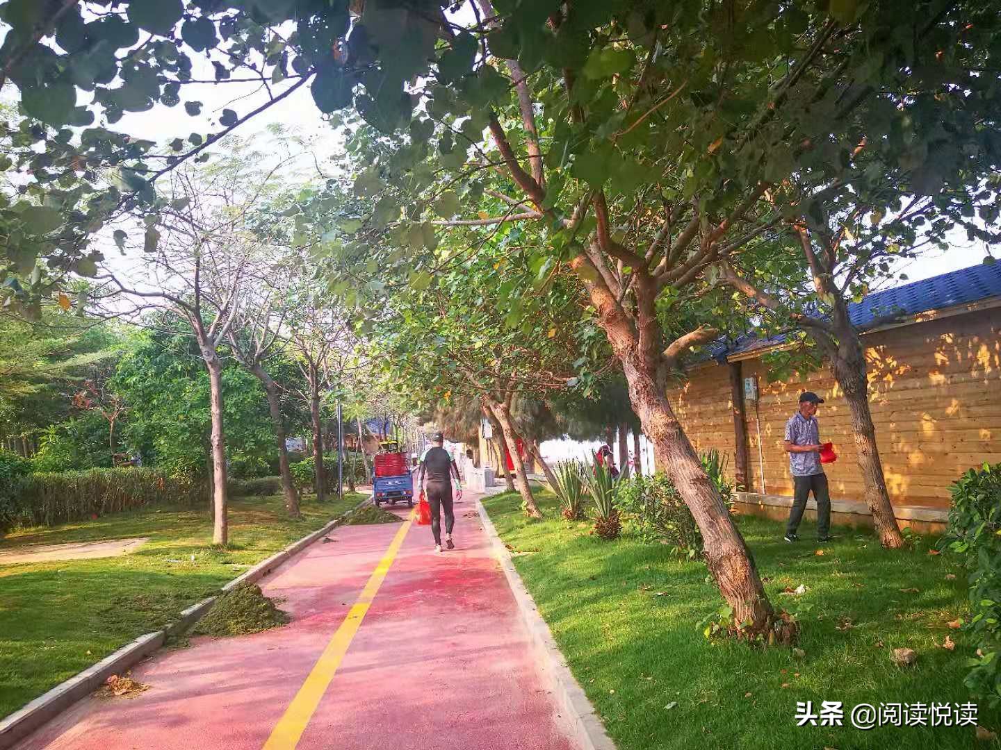 海南三月春天景色,海南三月春天