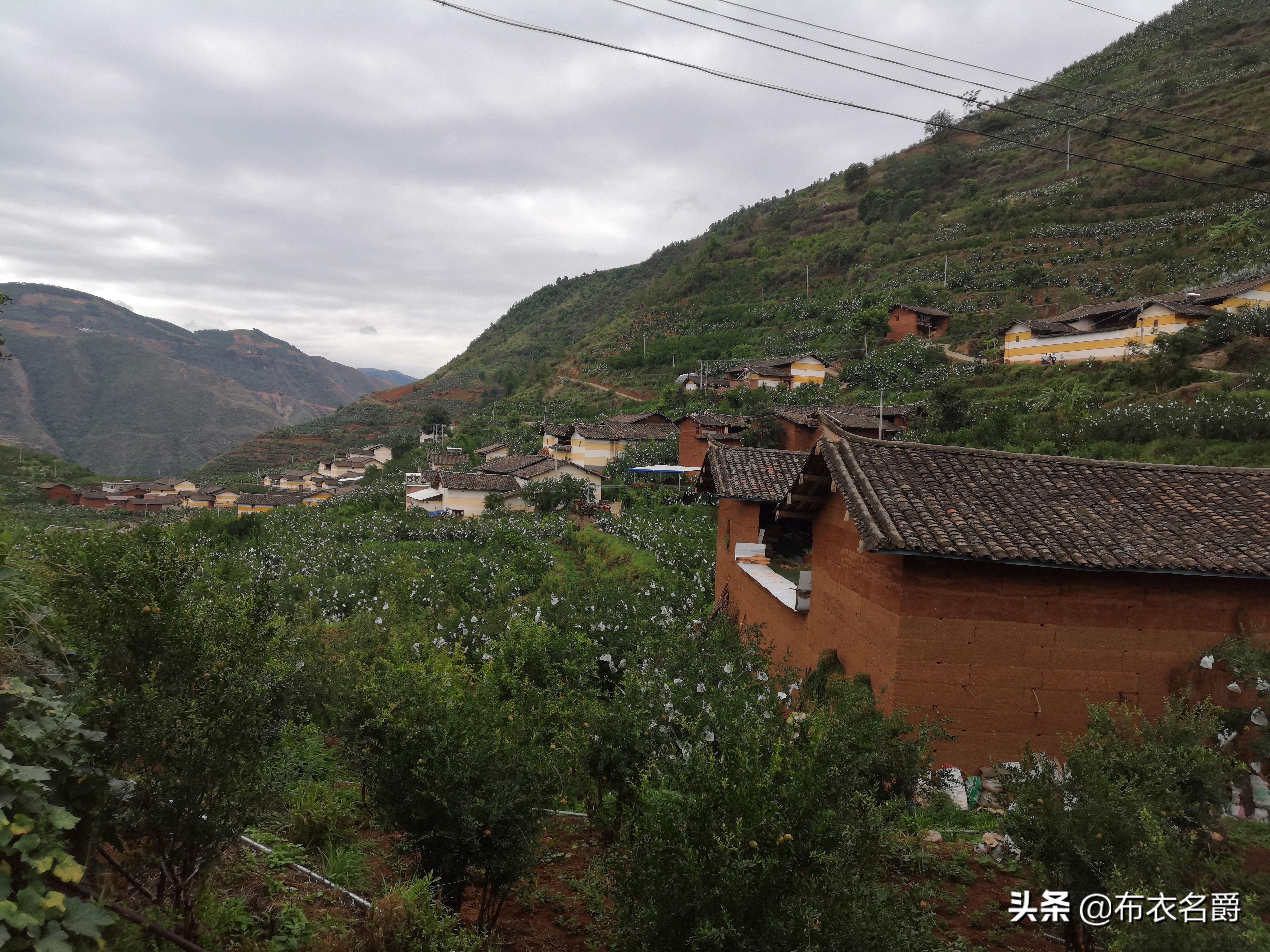 养羊技术与羊病预防推荐,养羊与羊病防控知识