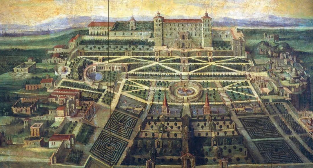 红衣主教来历,红衣主教月季分布区域