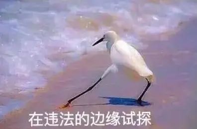 快递丢失不赔付怎么办,快递到了菜鸟驿站被丢失怎么赔