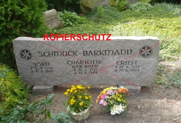 关于帝国师王牌恩斯特·巴克曼的一些碎片信息和故事