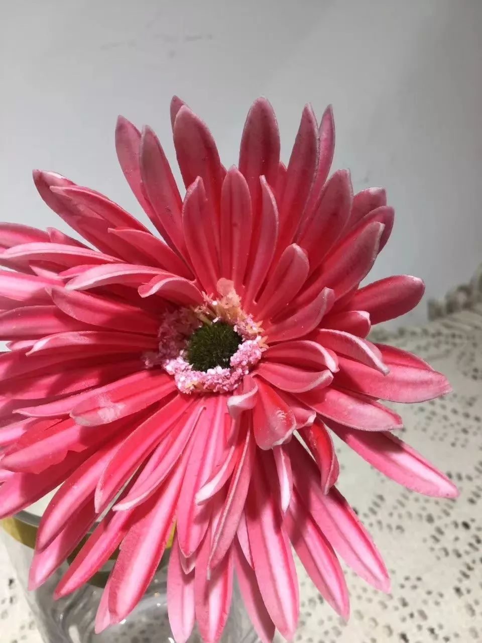 你难道还傻乎乎的认为鲜花比仿真花贵吗？