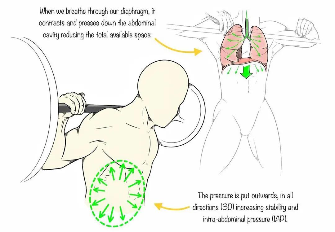 男女深蹲次数多少合适,练习深蹲一个月有什么效果