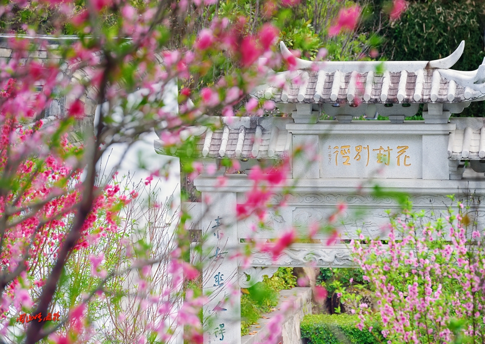 一春芳意，三月如风，日长风静，花影闲相照。