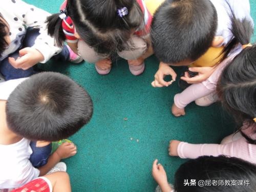 可爱的小青蛙大班科学教案,有趣的蜗牛大班科学教案