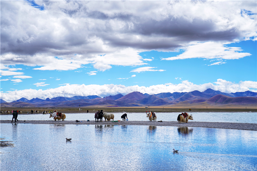 西藏秘境旅游,西藏秘境视频大全