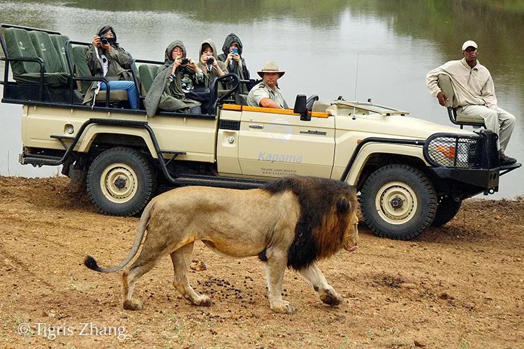 汇率起起伏伏，自然旅行跟着这张表格走，最划算