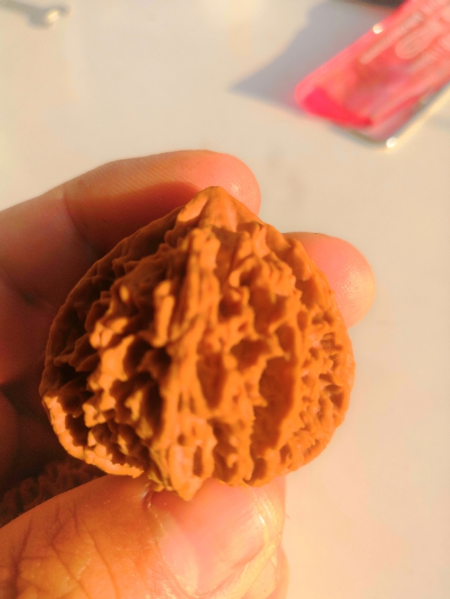 文玩核桃野生品种,核桃文玩品种官帽