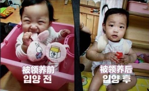 郑仁被虐待事件后续,被养父母领养最终结局