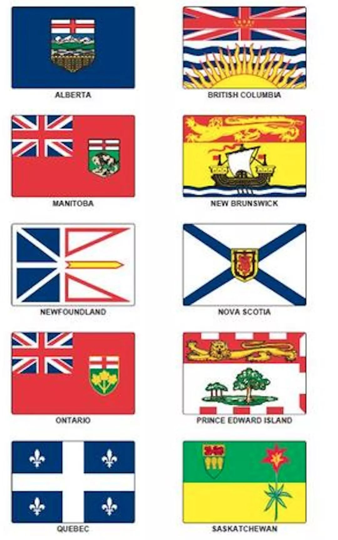 CompetitionofHouses!太精彩，合肥一中加拿大高中学院争霸赛