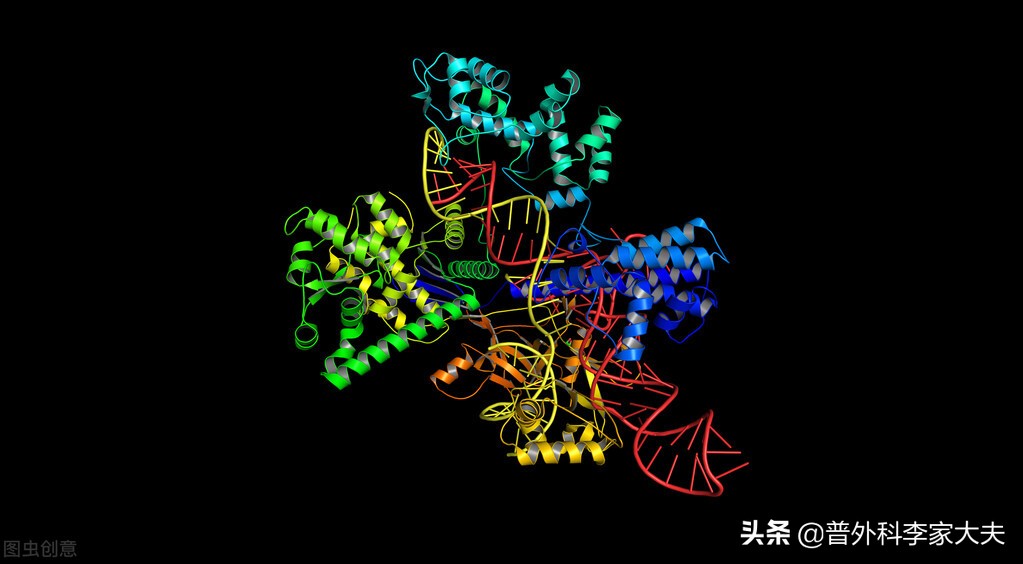 没手术的肺癌患者几年过危险期,没有靶向药的肺癌怎么治疗